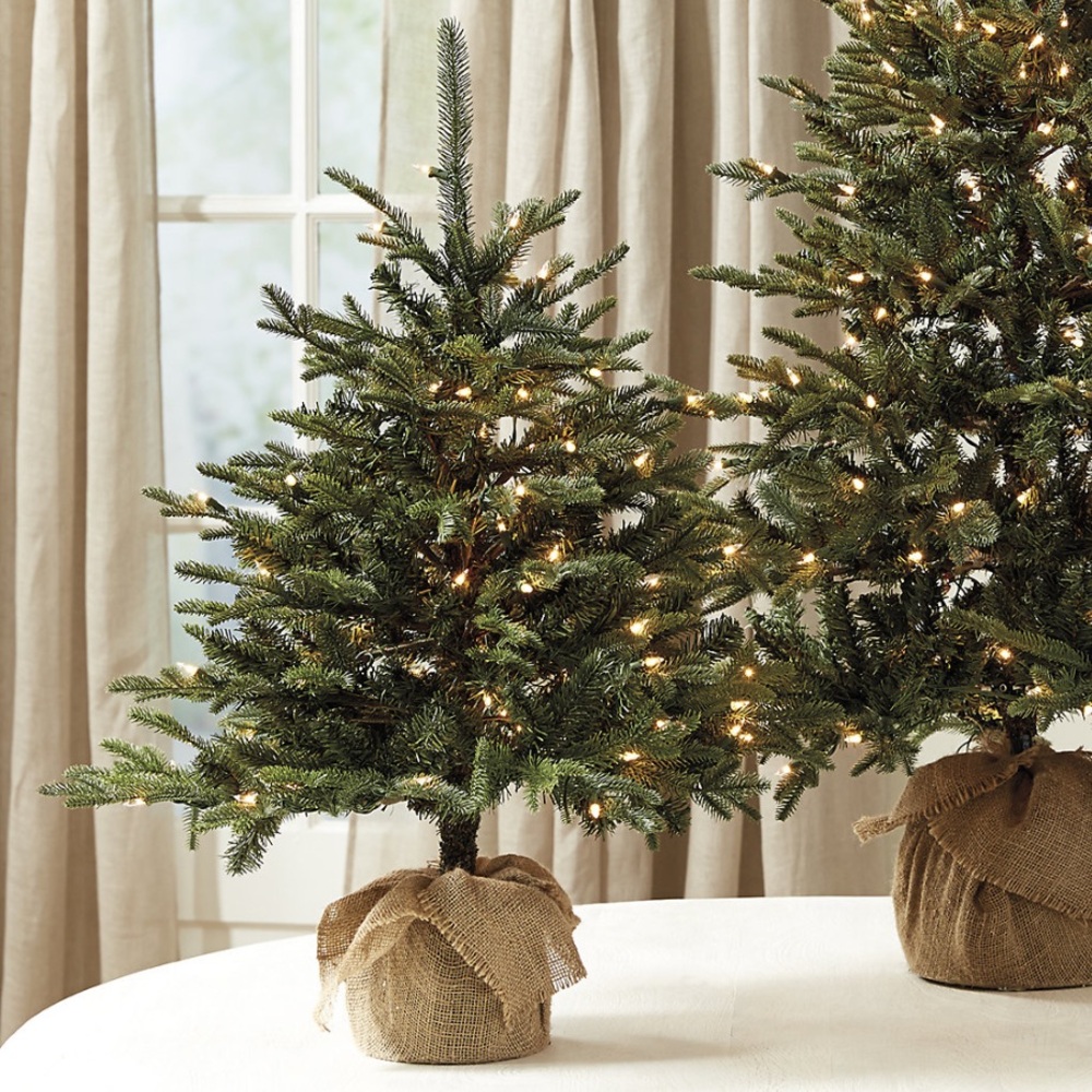 Suzanne Kasler Fraser Fir
Tabletop Tree from Ballard Designs